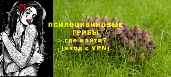 ешки Балахна