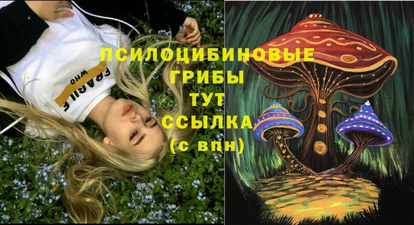 ешки Балахна