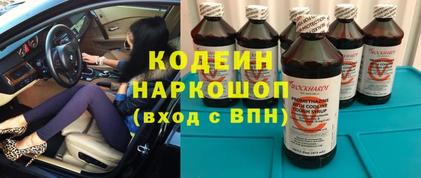 шишки Покачи