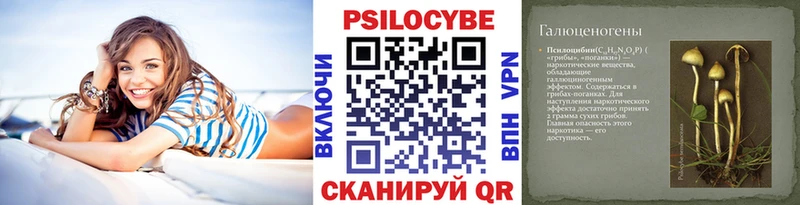 блэк спрут зеркало  Балашов  Галлюциногенные грибы Psilocybine cubensis 